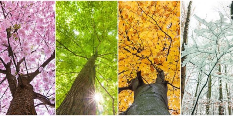 Seasons in Croatia - AndAdventure