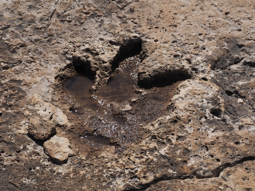 Istria Hidden Gems - Dinosaur Footprints
