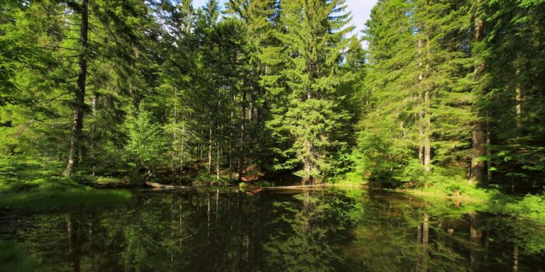 Region Gorski Kotar Croatia - AndAdventure Croatia