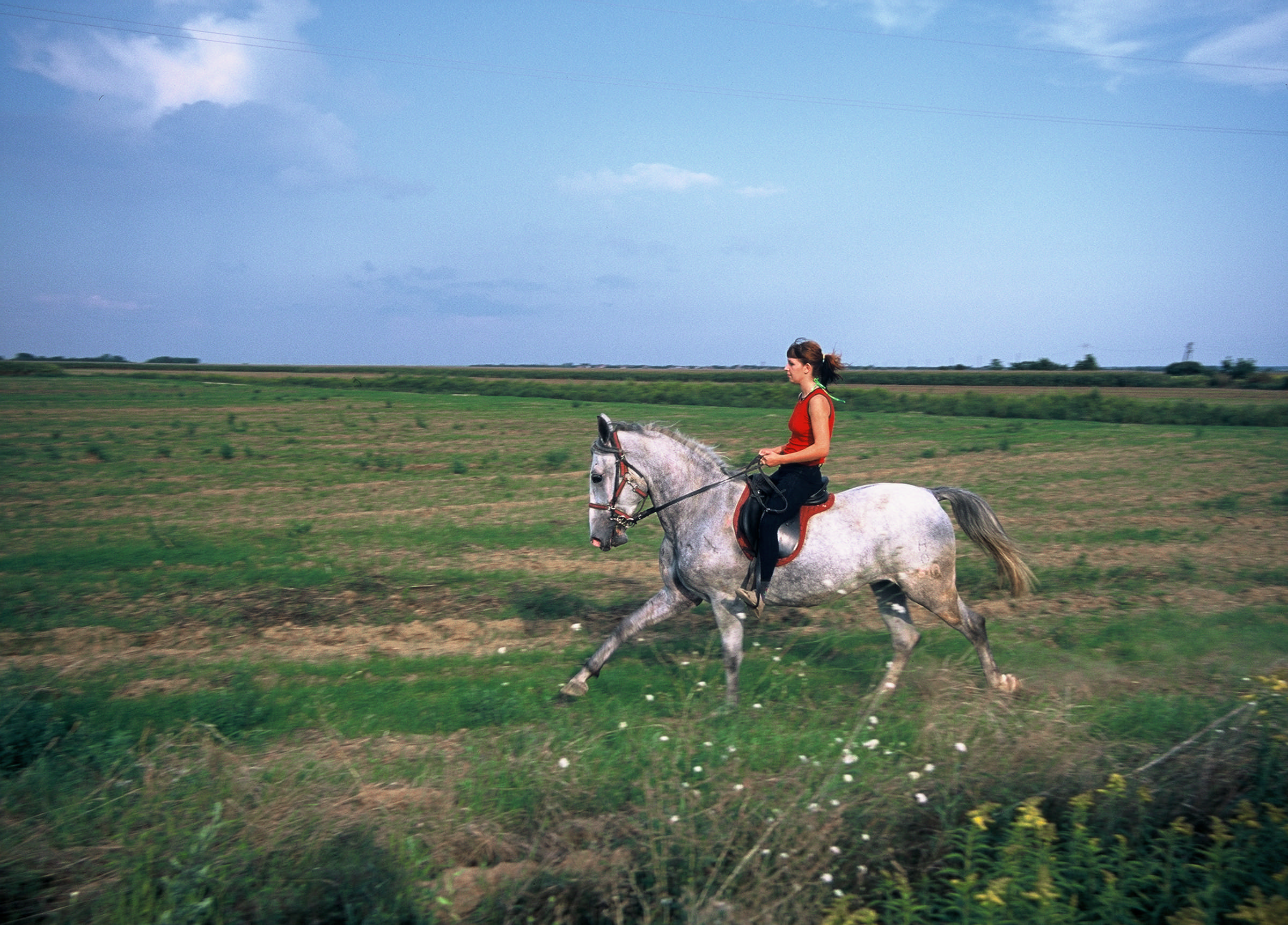 Horse riding in Slavonia
