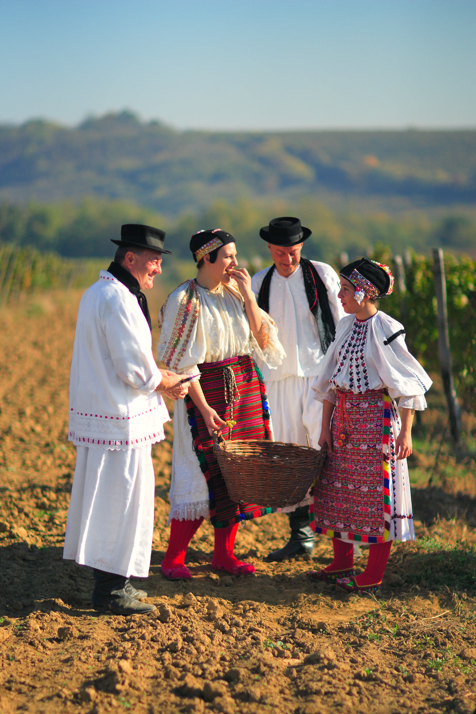 People in traditional slavonian outerwear working in vineyard