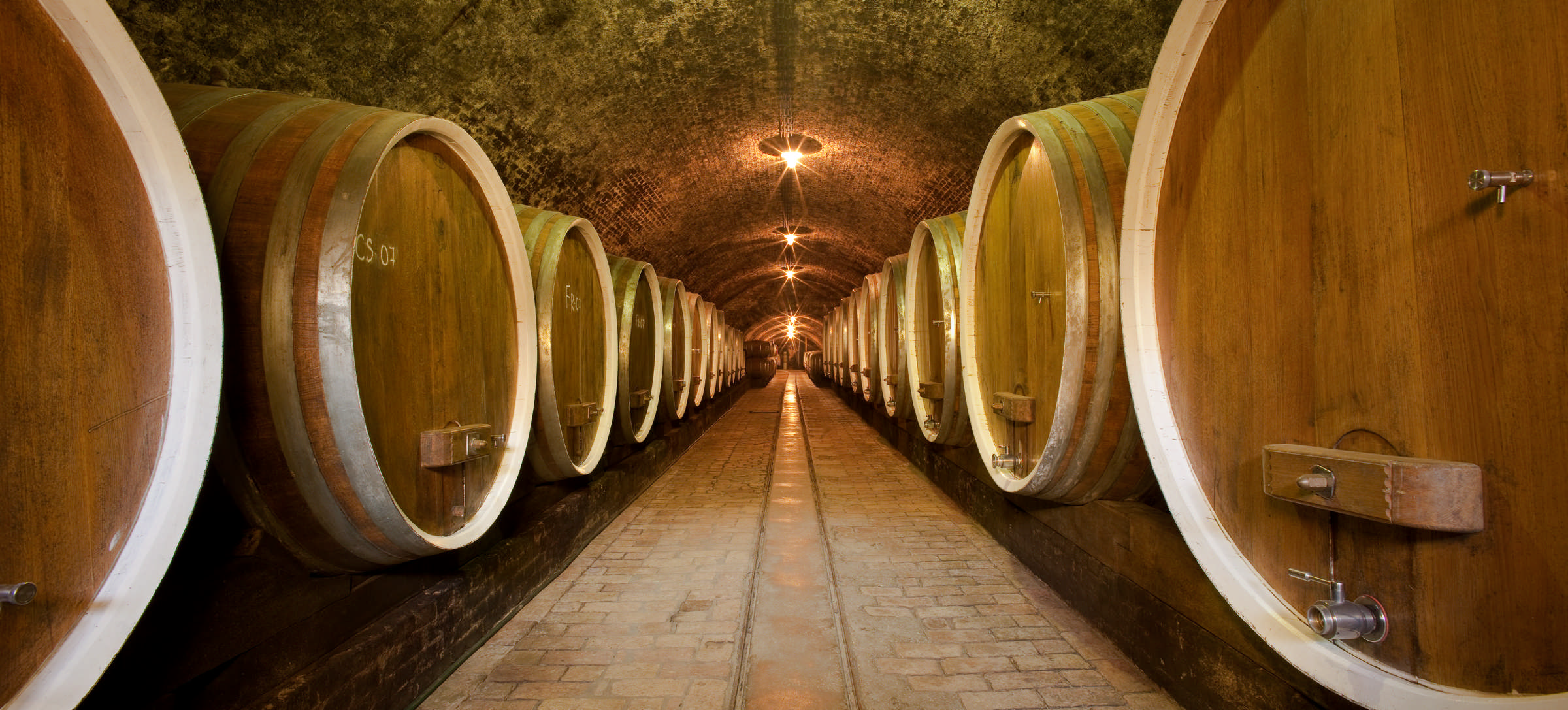 Slavonia & Baranja wine cellar