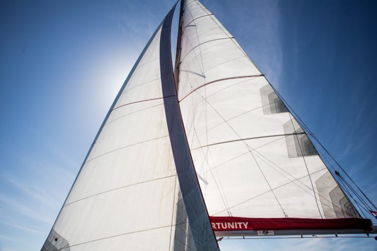 Sail of a sailing regatta